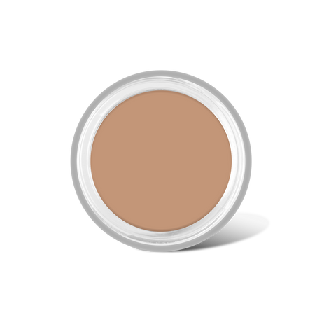 Full Coverage Makeup + Concealer