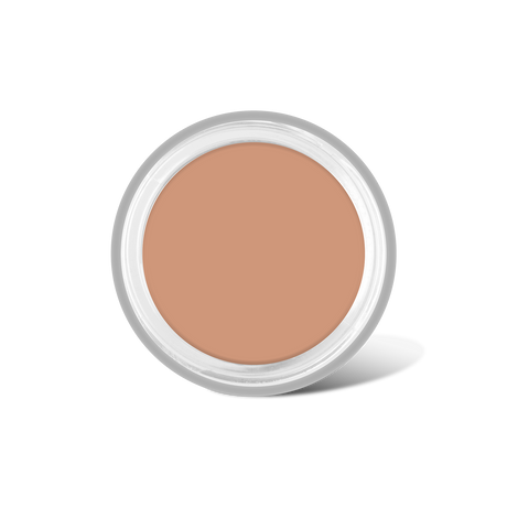 Full Coverage Makeup + Concealer