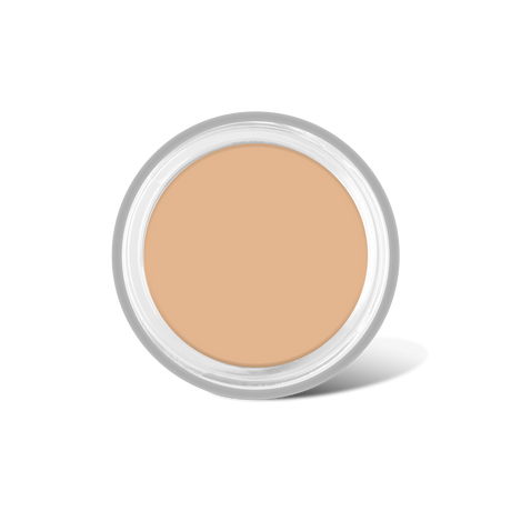 Full Coverage Makeup + Concealer