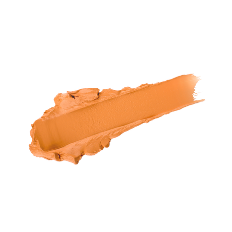 Full Coverage Makeup + Concealer