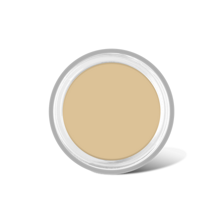 Full Coverage Makeup + Concealer
