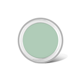Full Coverage Makeup + Concealer