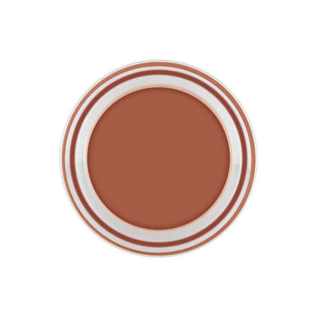 Tinted Moisturising Lip Balm